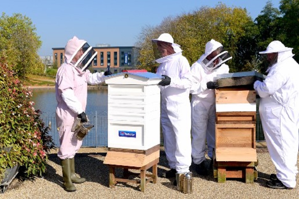 Telford Town Park wins National award for Sustainable Bee Project