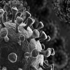 Tourism Members Information on COVID19